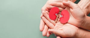 People holding paper kidneys