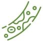 cholesterol_green