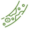 cholesterol_green