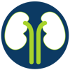 Kidney-01-1