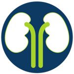 Kidney-01-1