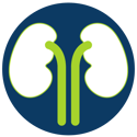 Kidney-01-2