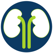 Kidney-01