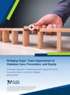 PA Diabetes Care Teams Module Cover