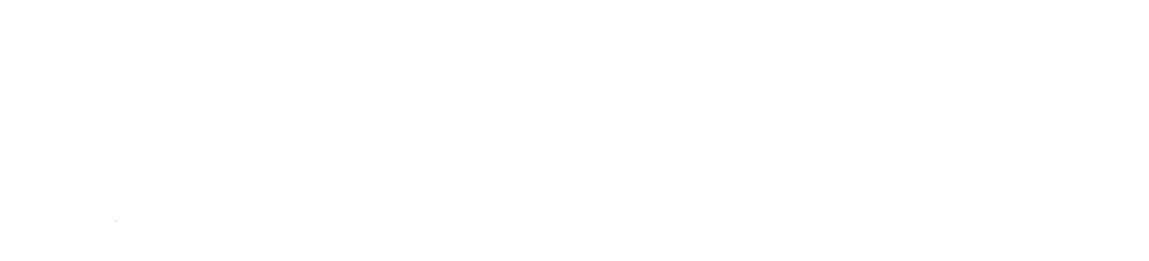 Quality Insights/QIN-QIO Logos Reverse