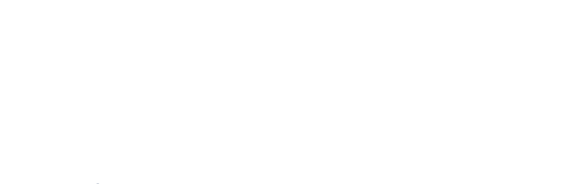 Quality Insights White Logo