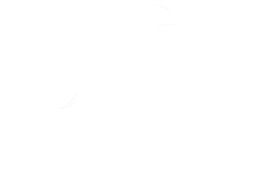 WAVE Logo Final_REVERSE