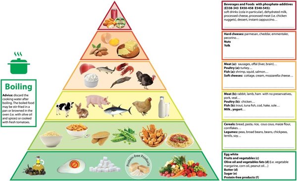 food pyramid