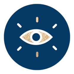 vision