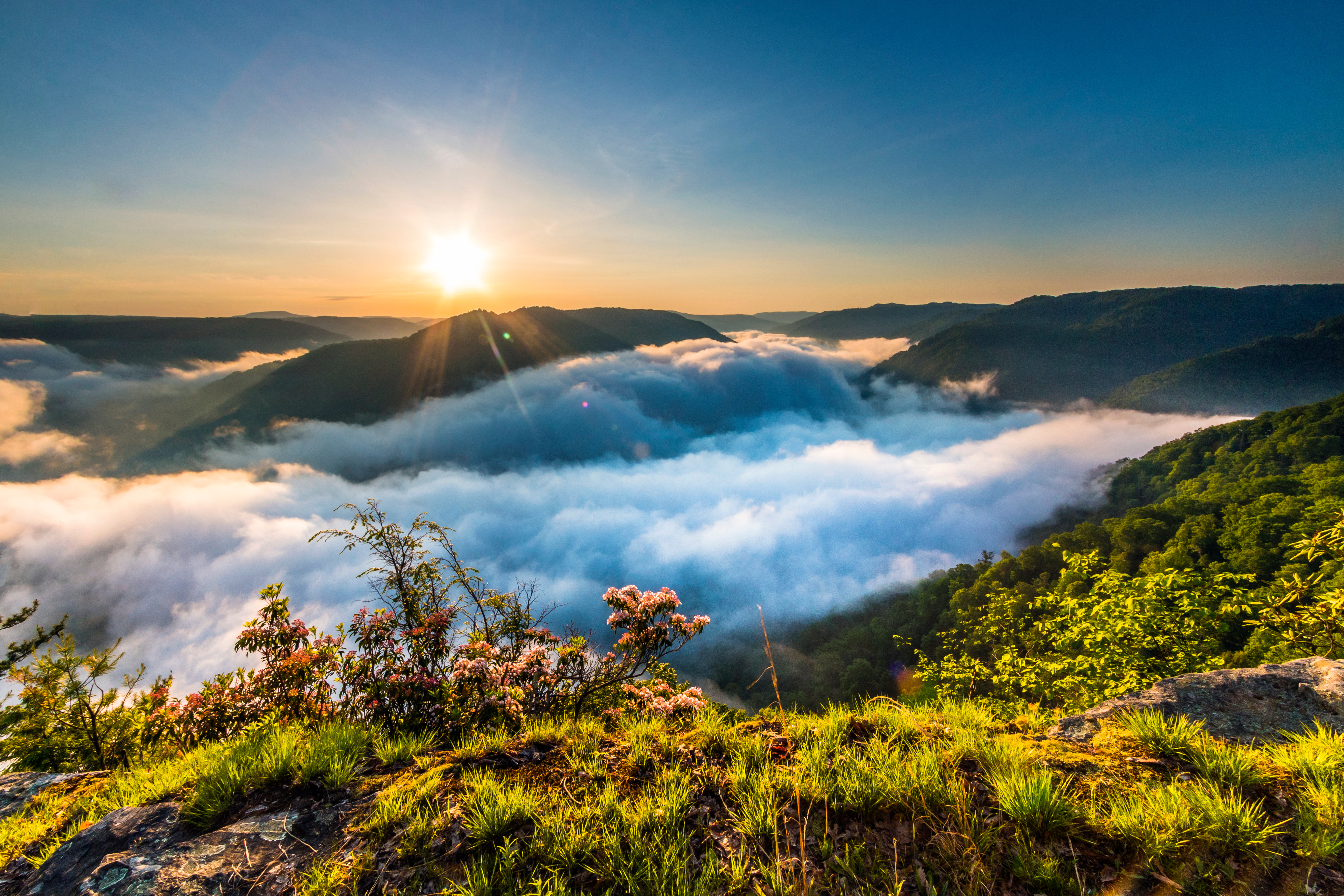 AdobeStock_410970701