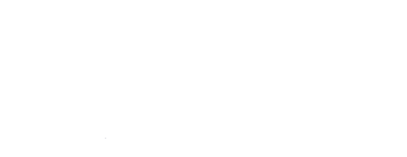 Quality Insights Reverse Logo