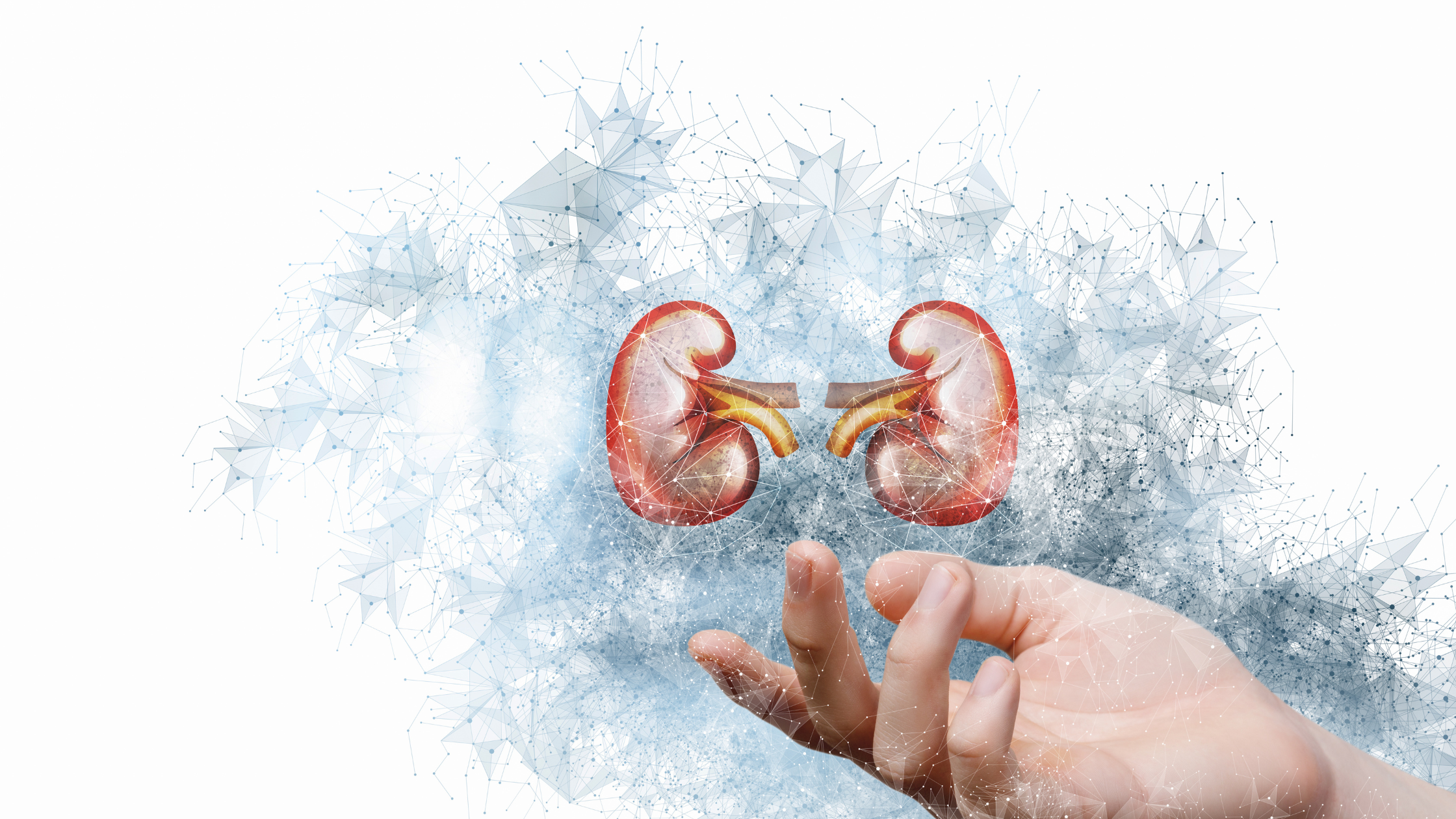 Understanding Chronic Kidney Disease Stage 3: What You Need to Know